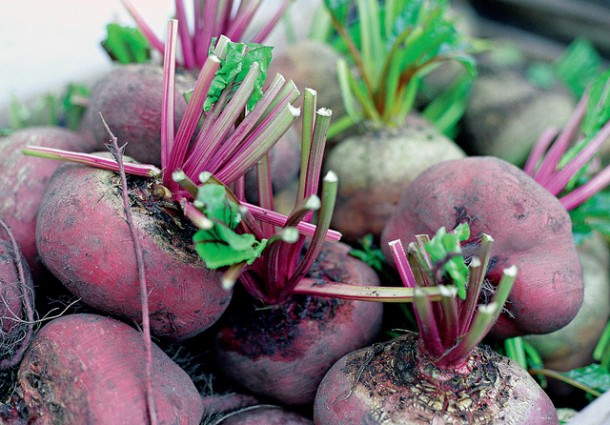 fresh beetroot with leaves cut off