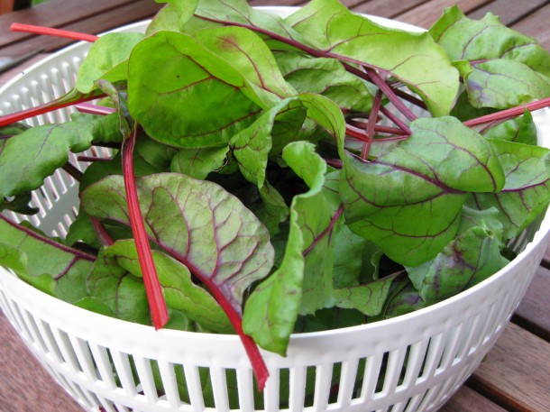 beetroot and chard leaves in a bowl