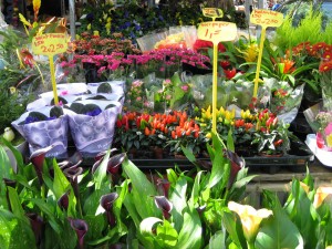 flower market stall in Delft