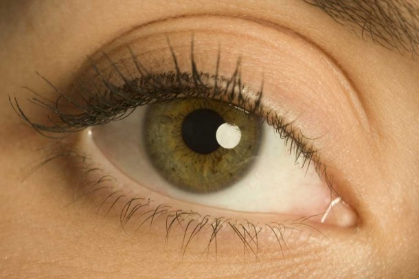 close-up of a hazel coloured eye