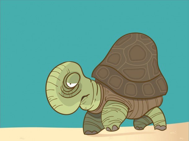 illustration of a tortoise