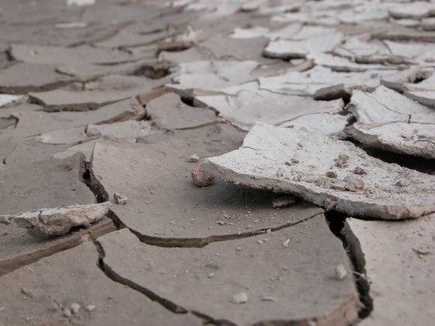 dry cracked mud like dry skin associated with atopic eczema