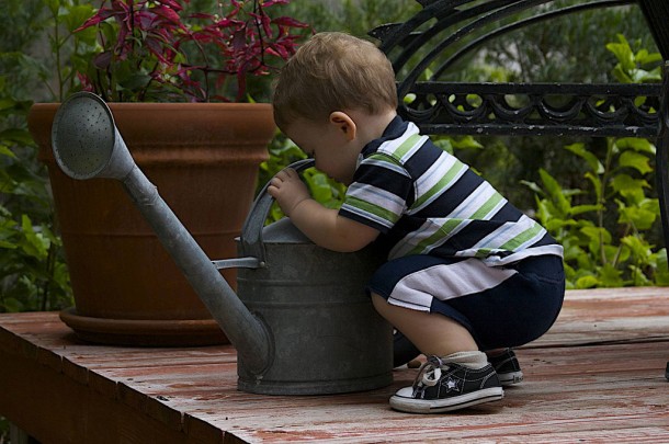 a curious toddler explores a watering can