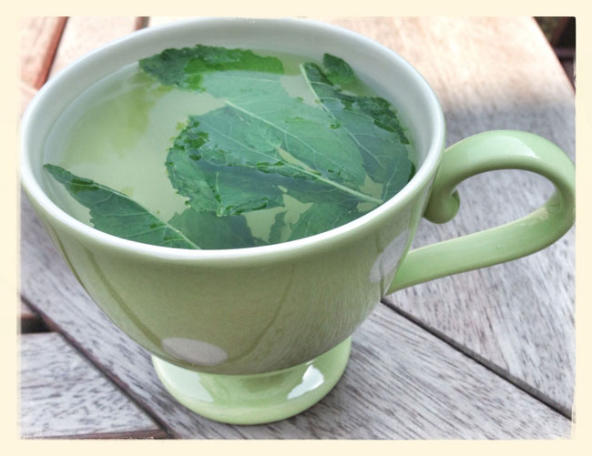 Fresh mint tea leaves in teacup