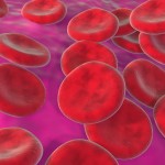 large red blood cells floating against purple background